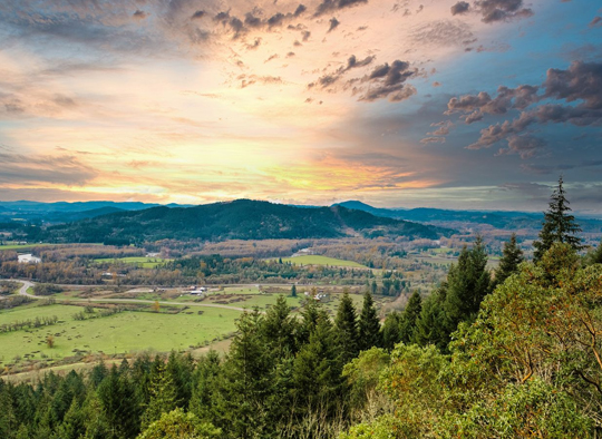 Springfield - Oregon
