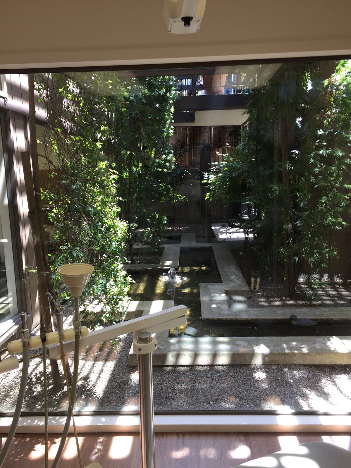 Dr.'s Wakasa &amp; Carlsmith photo 2