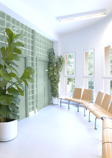 Berkeley Smiles photo 1