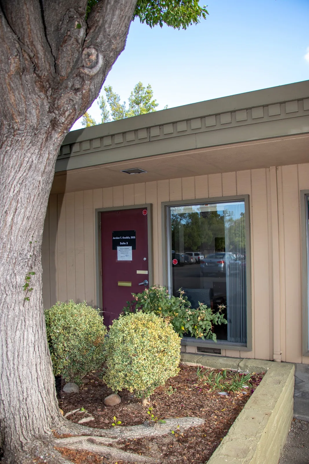 Complete Comfort Dental Care photo 4