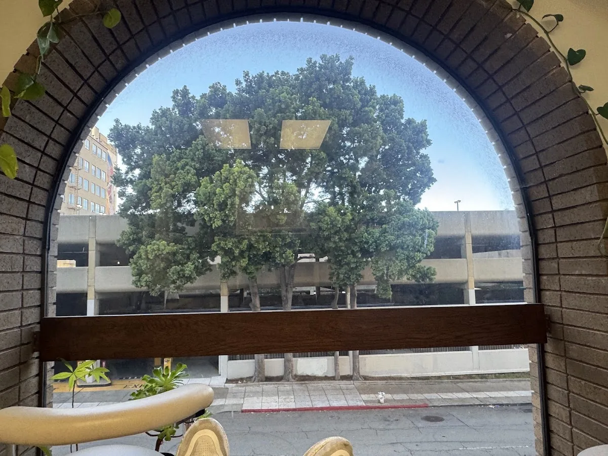 Fong David M DDS photo 5