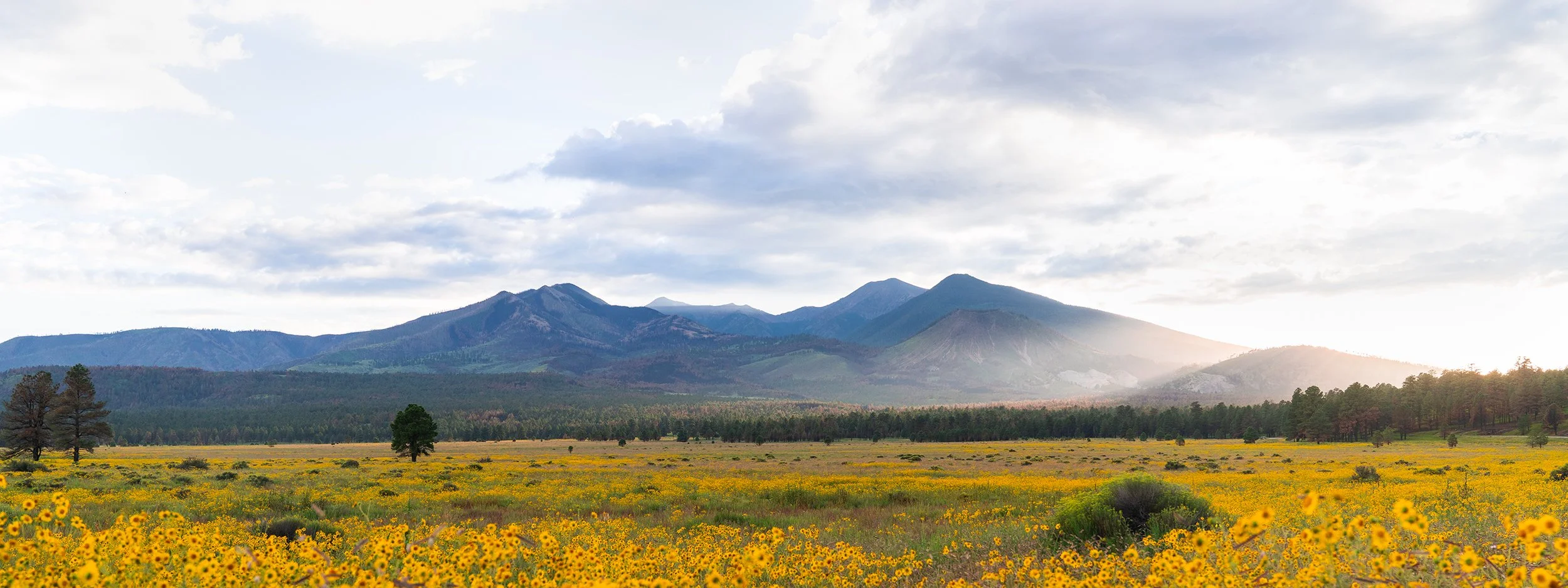 Northern Heights Dental