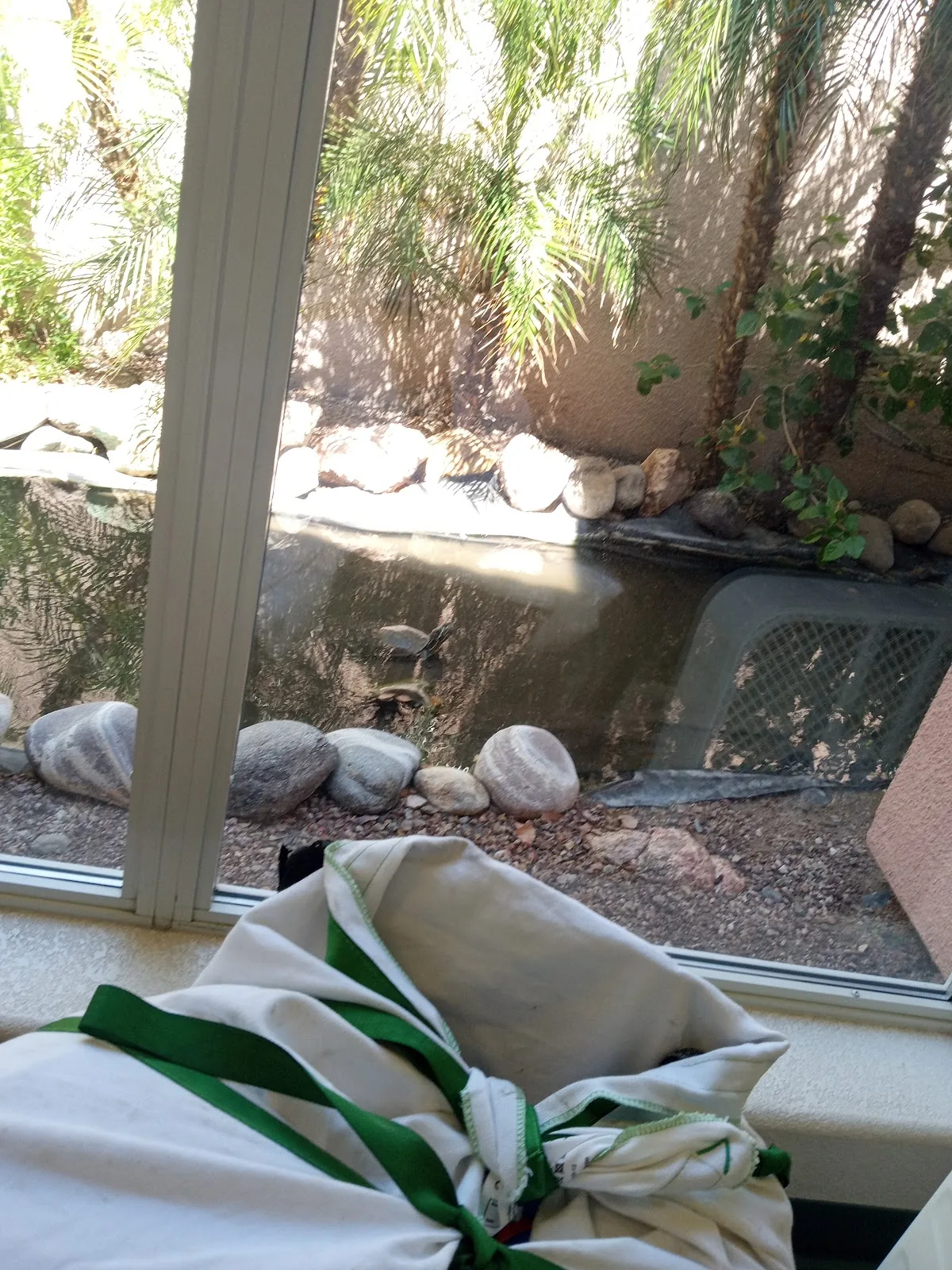 BullheadCityDentist.com photo 4
