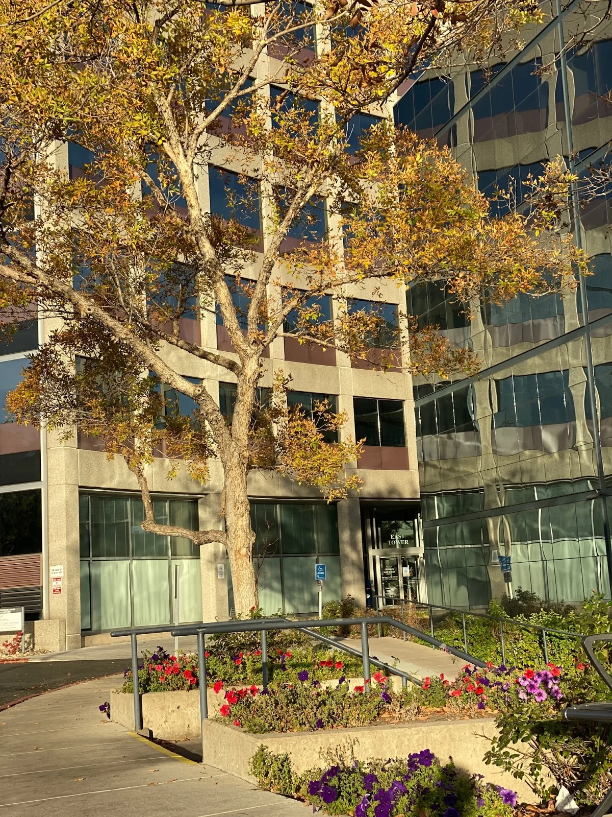 Hampden Dental Loft photo 3