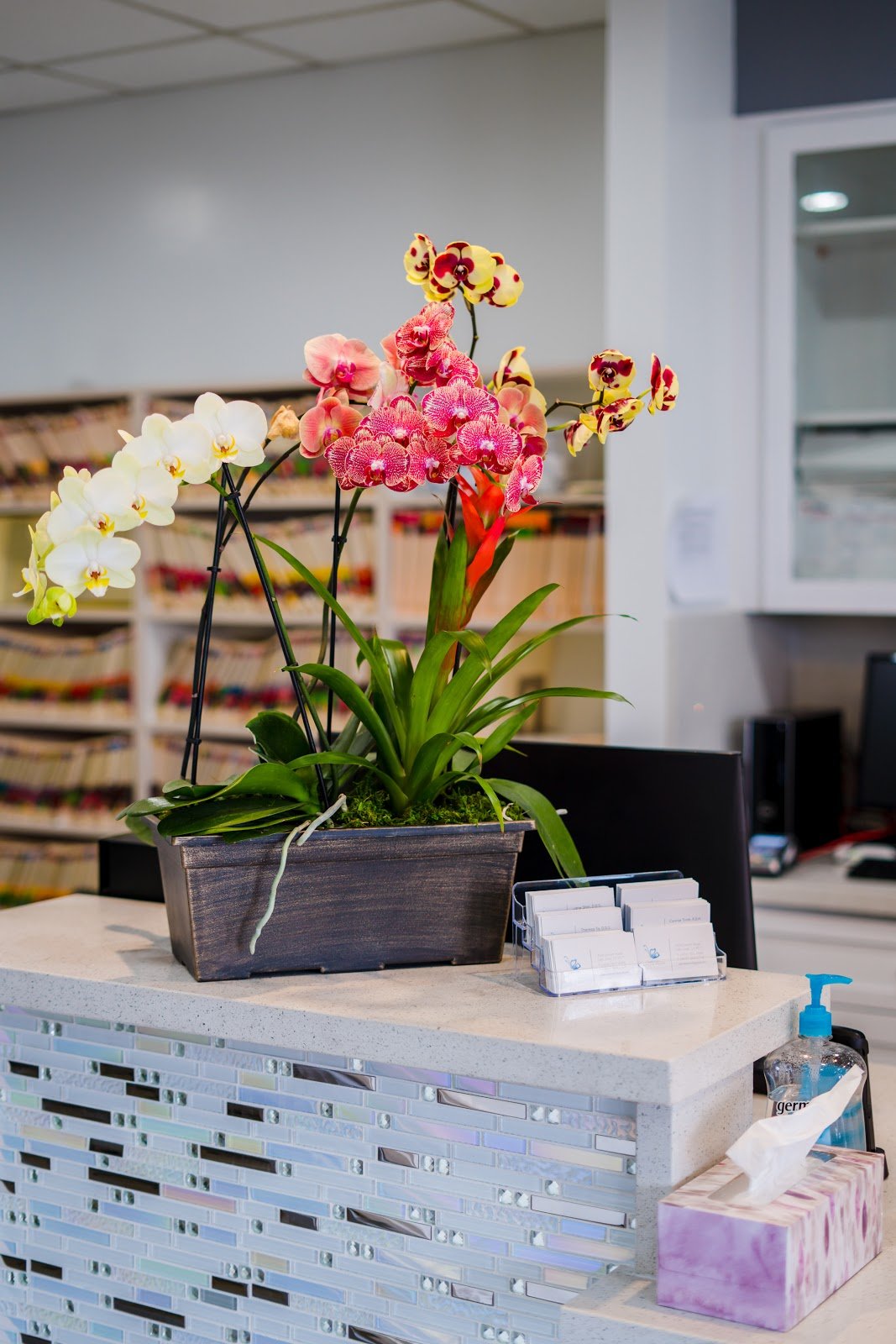 Capitol Dental Group photo 3