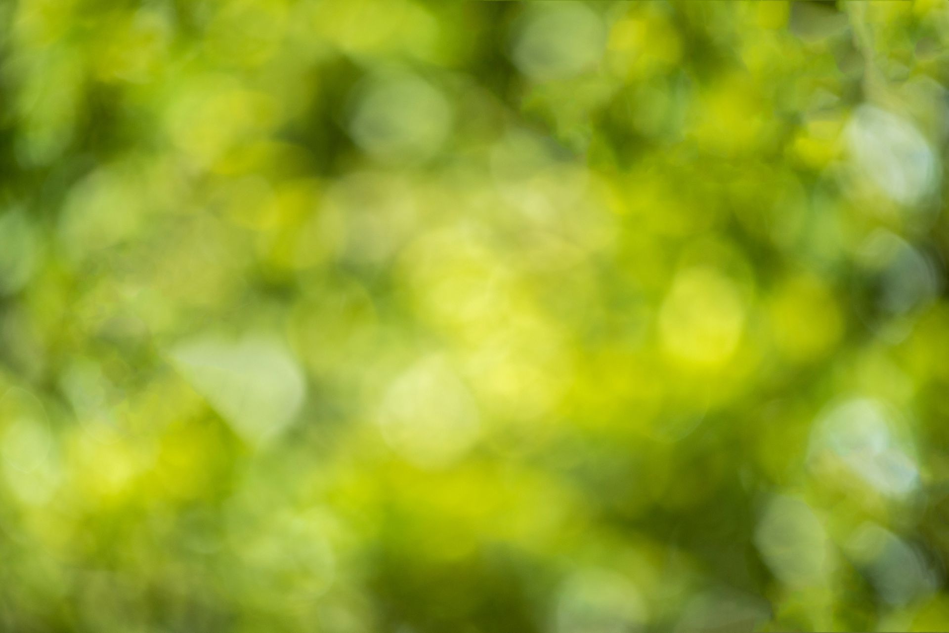 Oxboro Dental Care photo 1