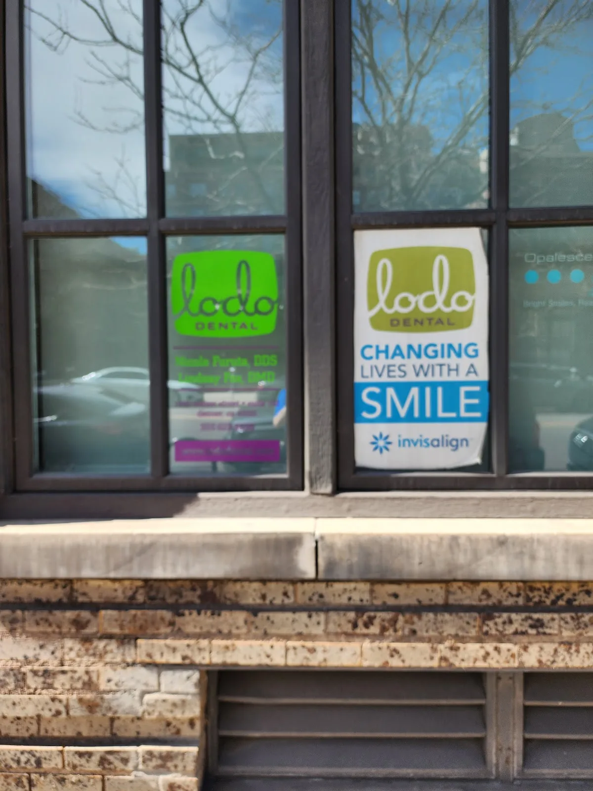 Lodo Dental photo 5