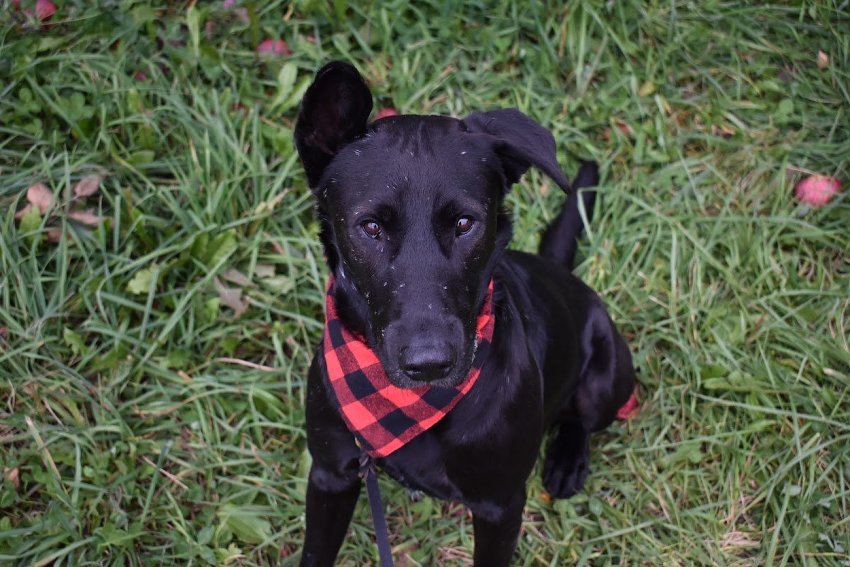 University Square Dental Associates photo 5