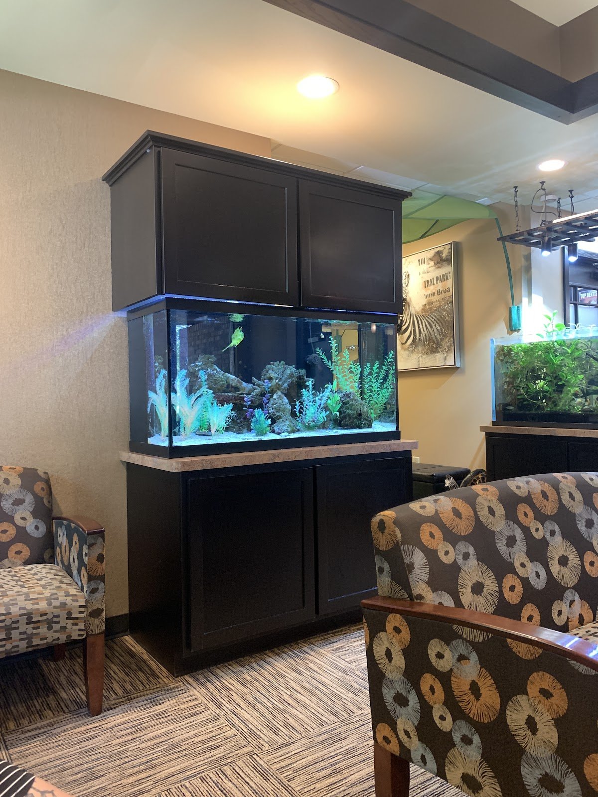 Warren Family Dental photo 3