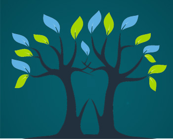 Niver & Hutchison Dental photo 1