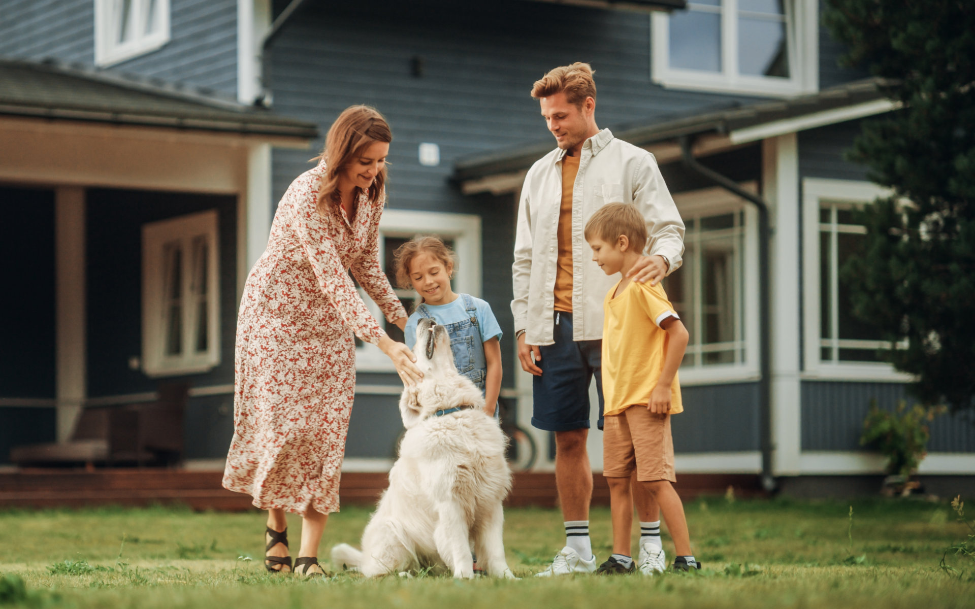 Proven Dental - Dr. James Murphy photo 1