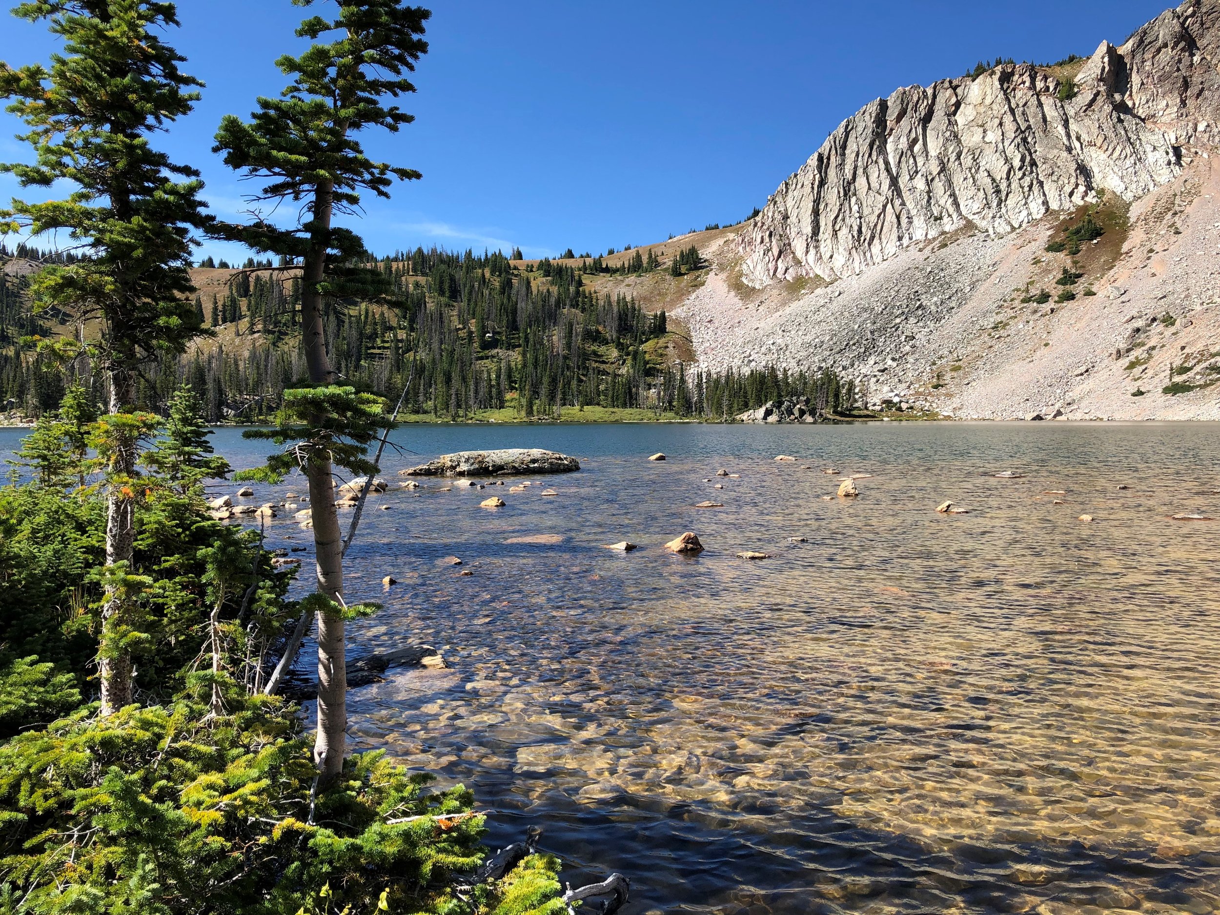 Summit View Dentistry PC photo 1