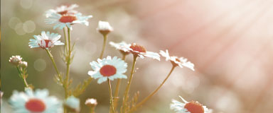 Arrow Mountain Dental photo 1