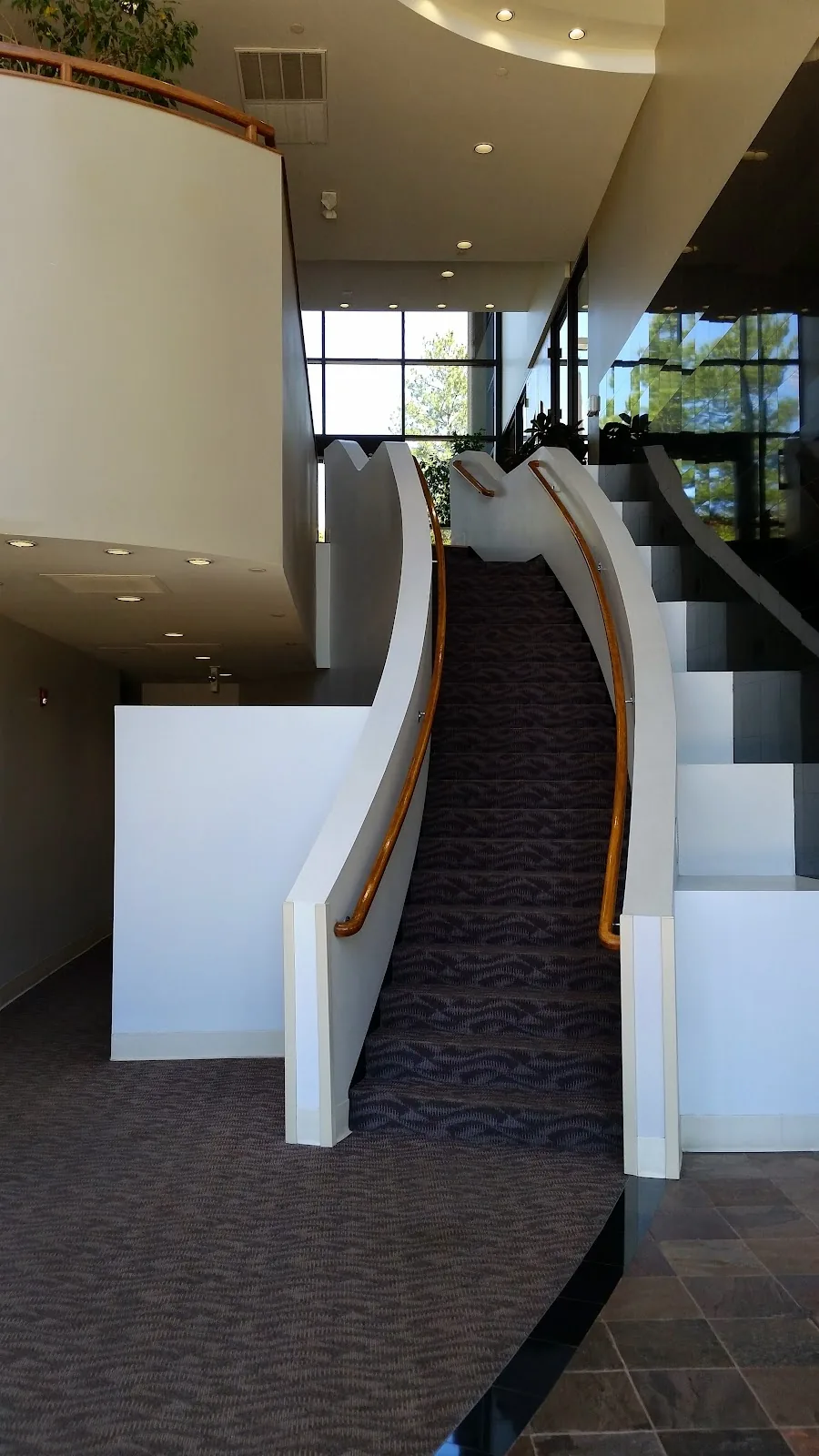 Premier Dental Care - Lehman photo 4