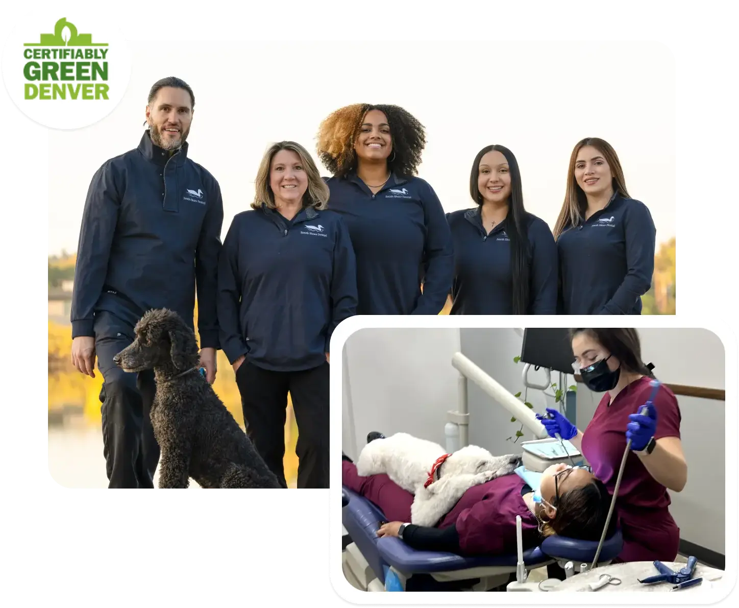 South Shore Dental photo 1