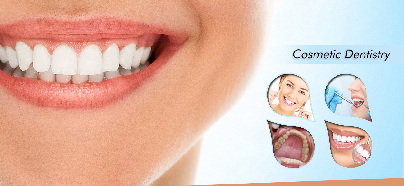 Special Needs Dental Care photo 1