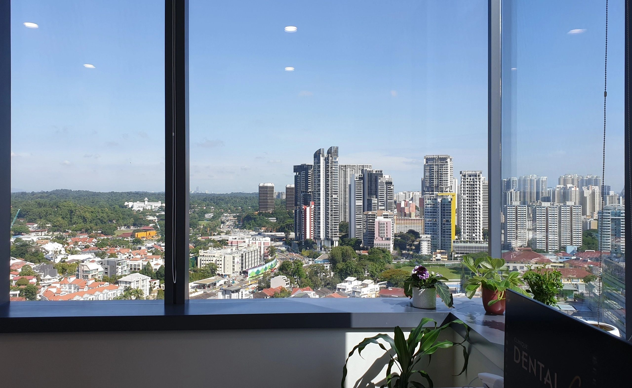 Dental Forté photo 1