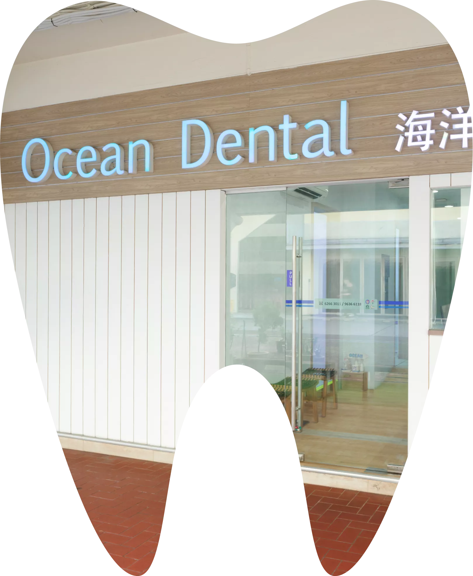 Ocean Dental Singapore (Clementi) photo 1