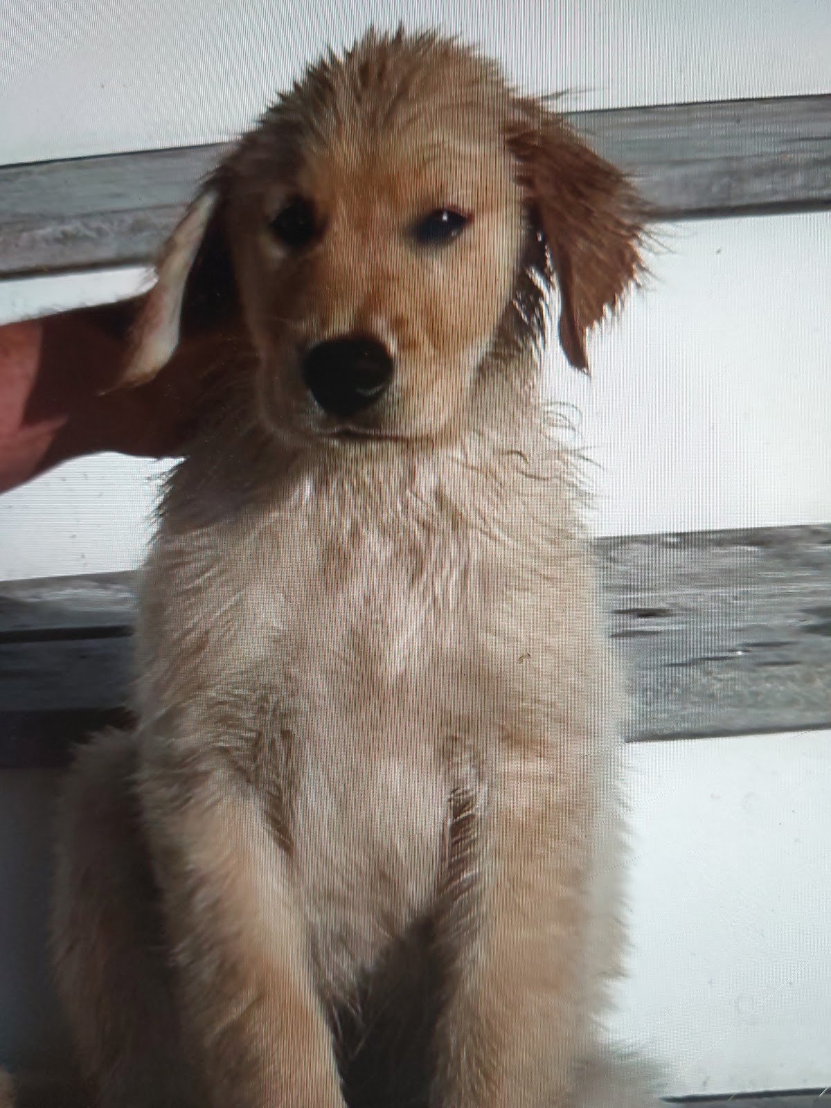 Champlain Smile Solutions photo 4