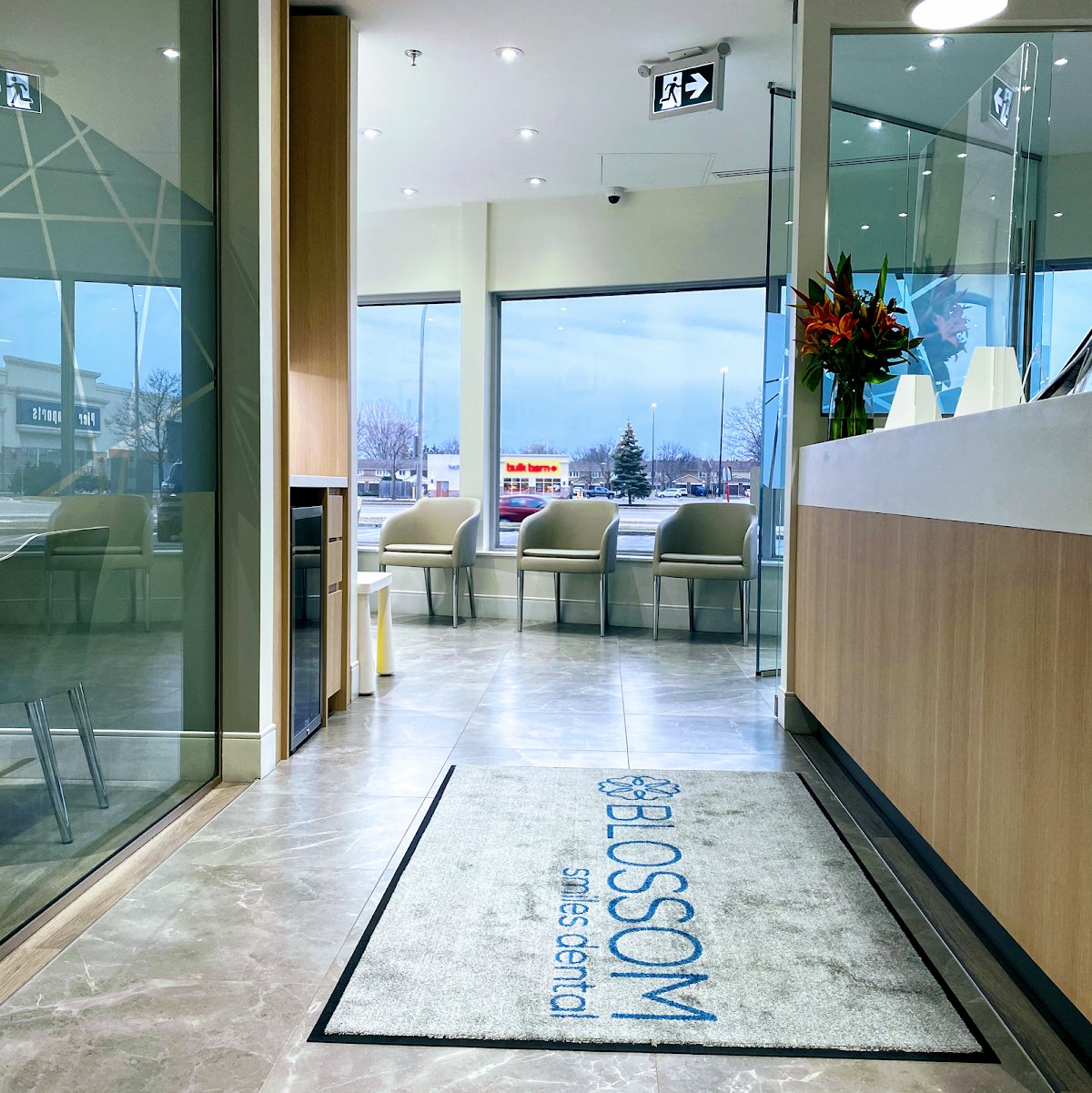 Blossom Smiles Dental photo 2