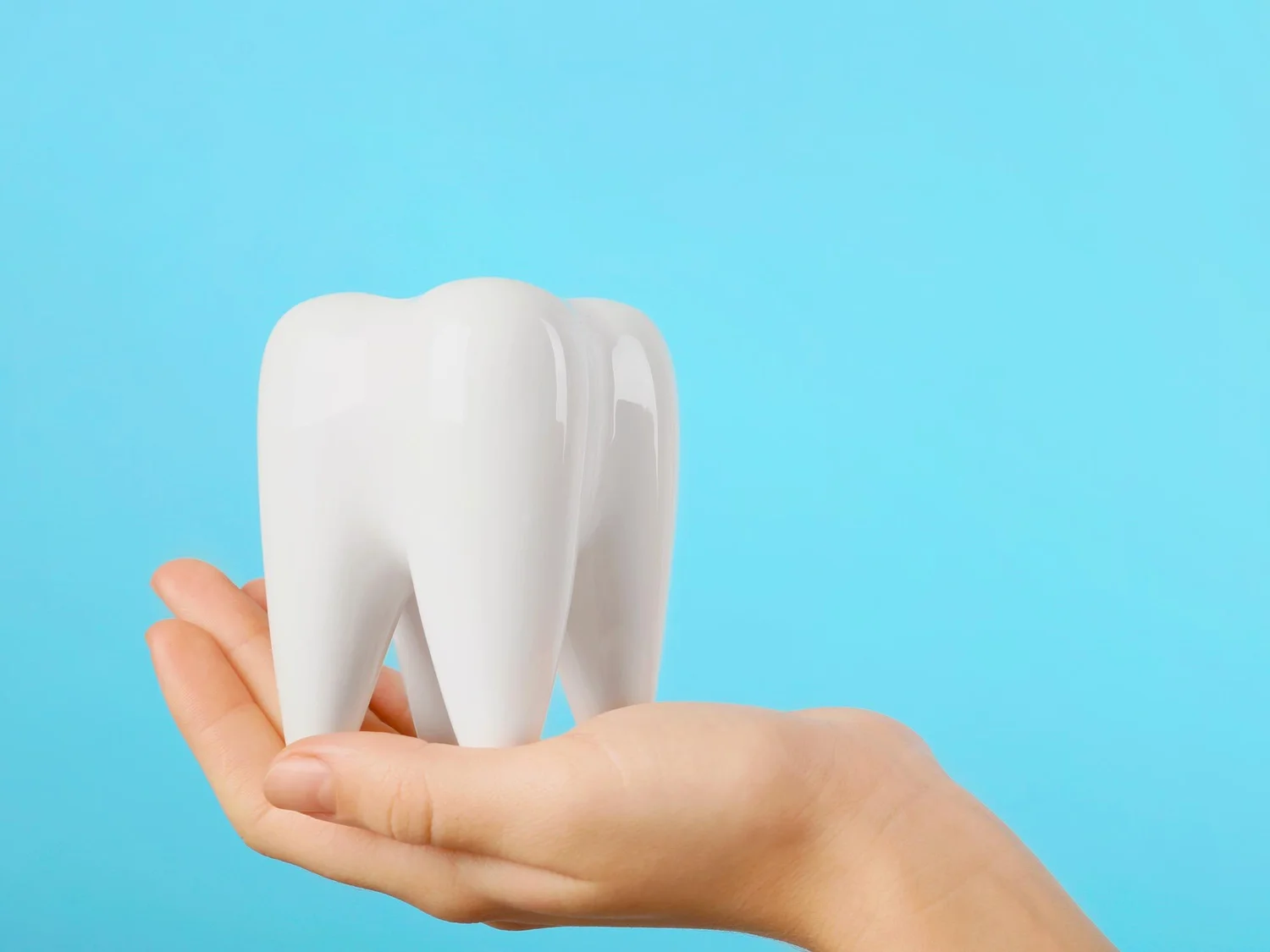 Family Care Dental Clinic photo 1