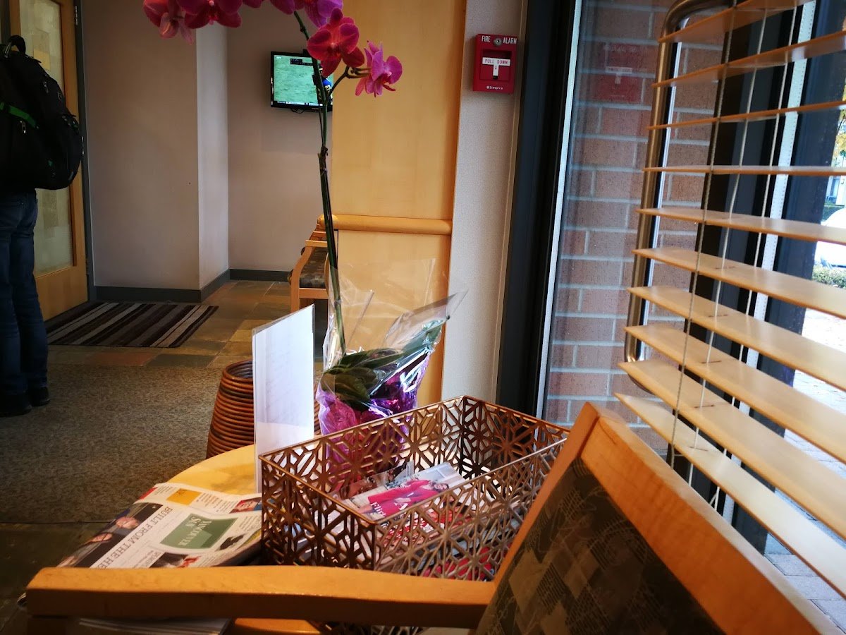 Highgate Medical Dental photo 5