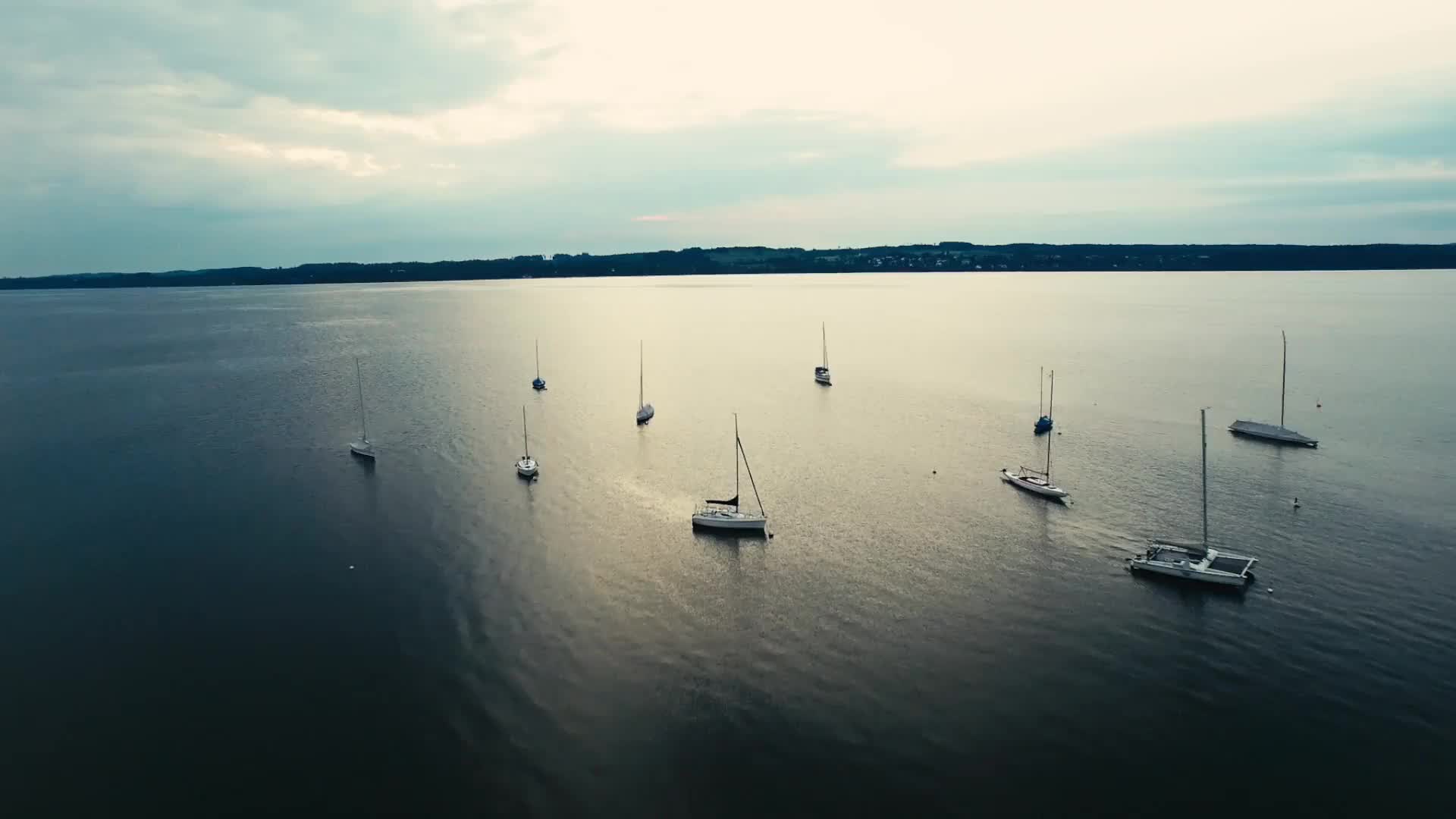 Dentistry-on-Bellevue photo 1