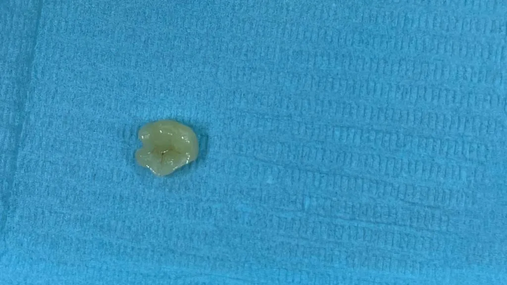 Empire Dental Clinic Dubai photo 4