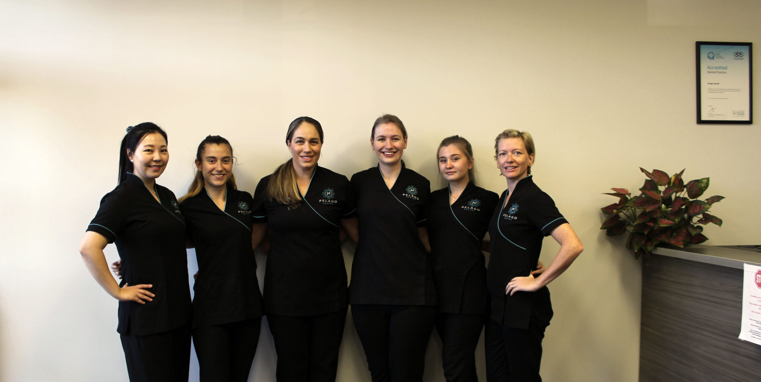 Pelago Dental photo 1