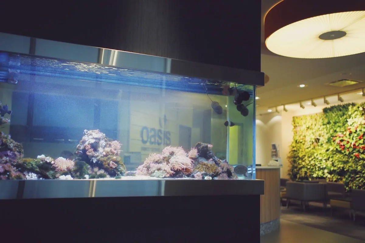 Oasis Family Dental Centre photo 5