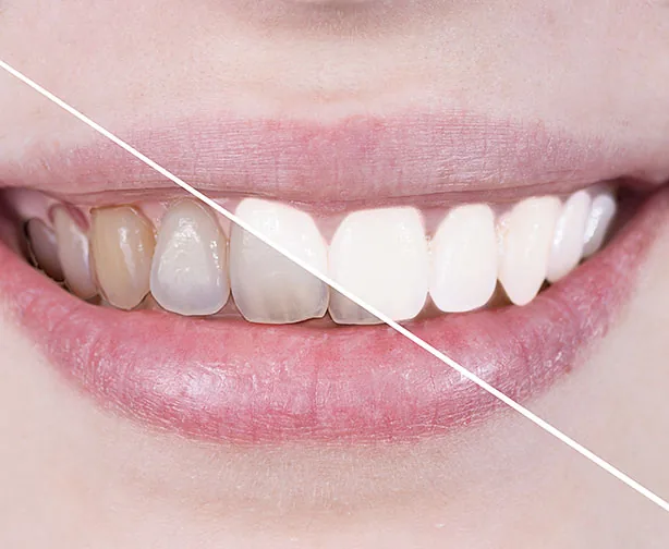 Molson Park Dental photo 3