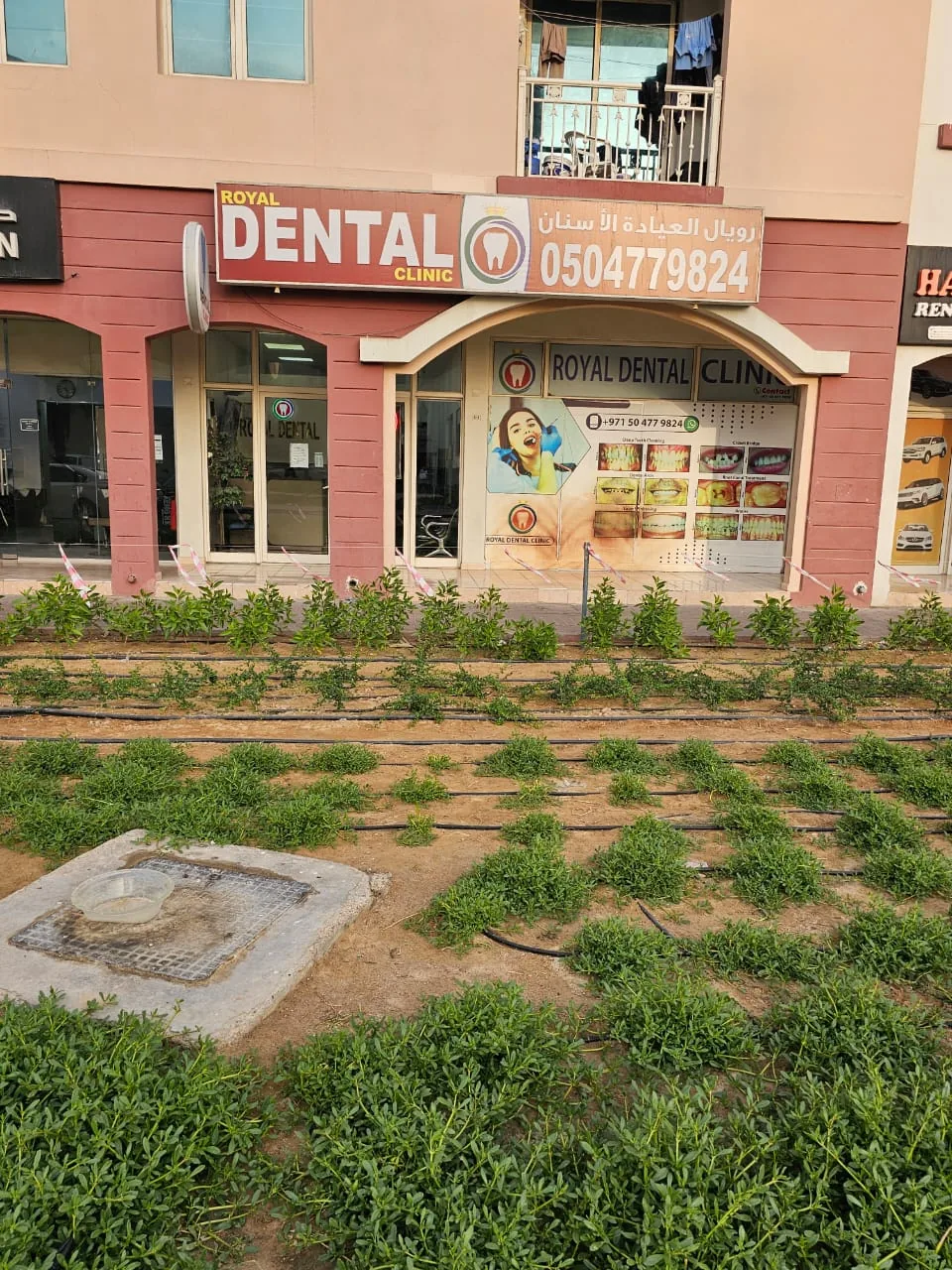 Royal Dental Care photo 5