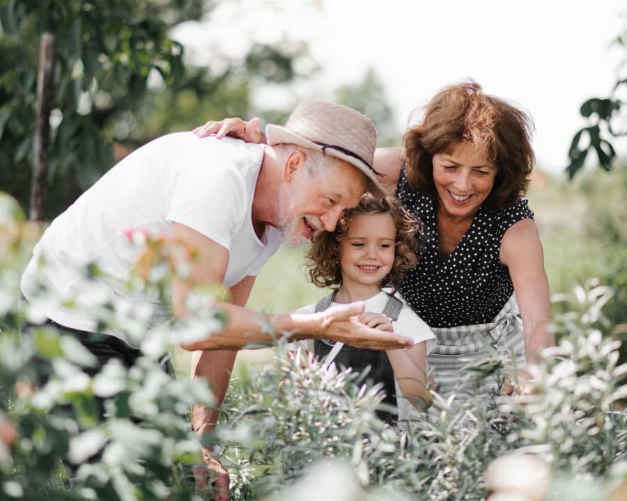 Dentalhouse - Victoria Dental Arts photo 1