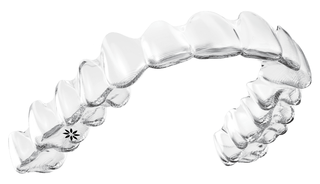 Springhill Dental Practice Ltd photo 1