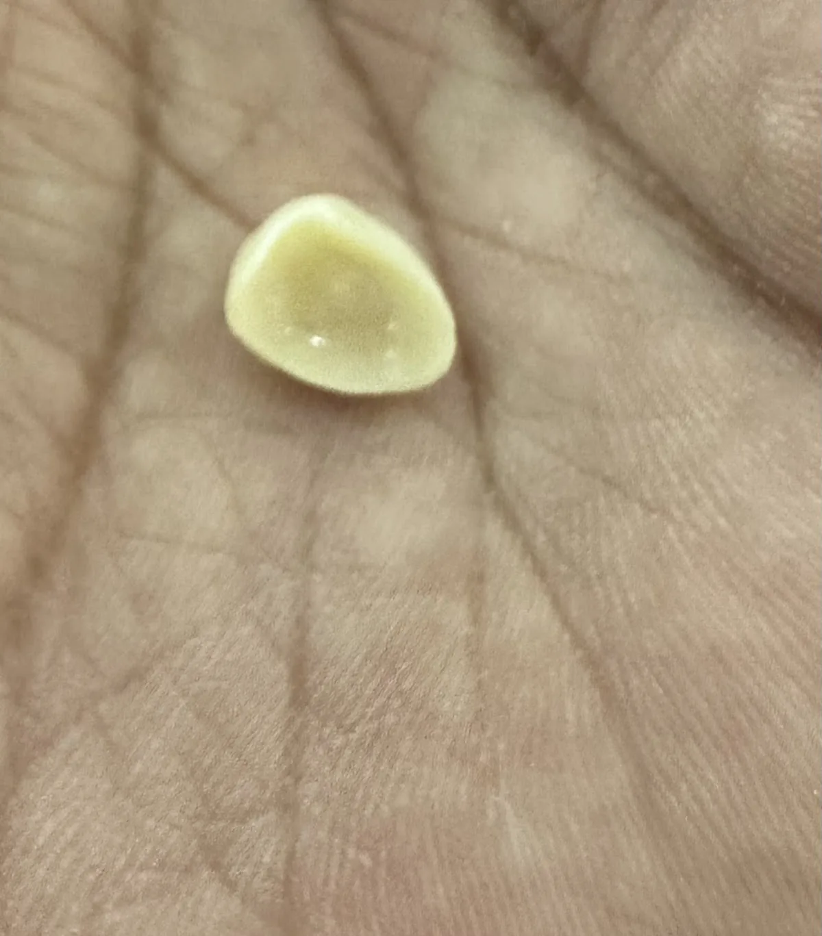 Clover Medical Centre Al Nahda (Dental Clinic) photo 3