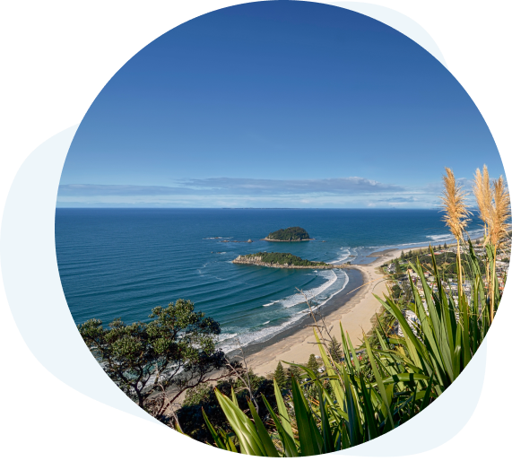 Tauranga Dental House photo 1