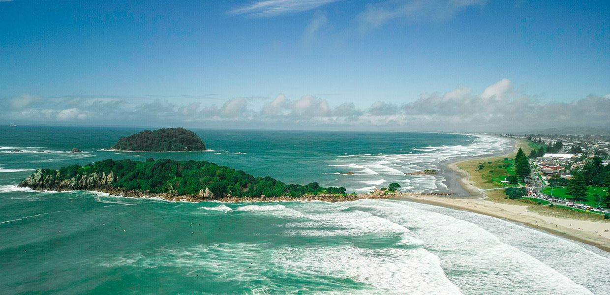 Team Dental Rotorua photo 1