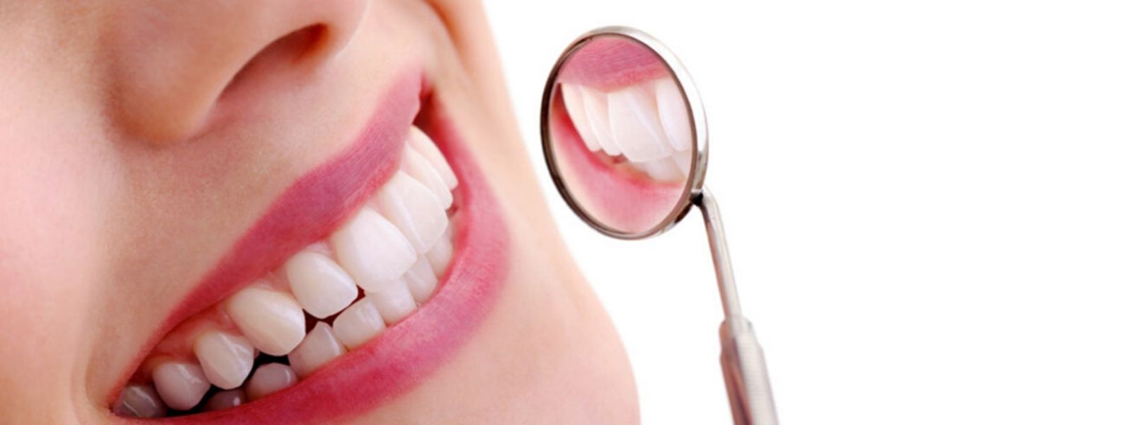 Absolute Dental Limited - Ngongotaha photo 1