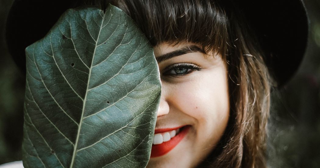 The Dentists - Taradale photo 1