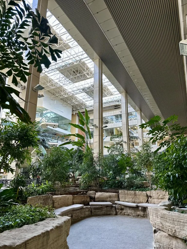 Macleod Trail Dental photo 5