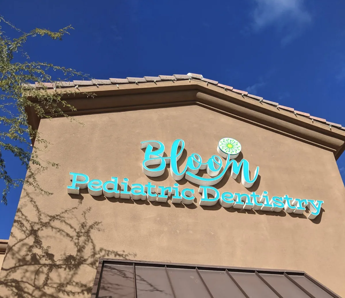 Bloom Pediatric Dentistry photo 2