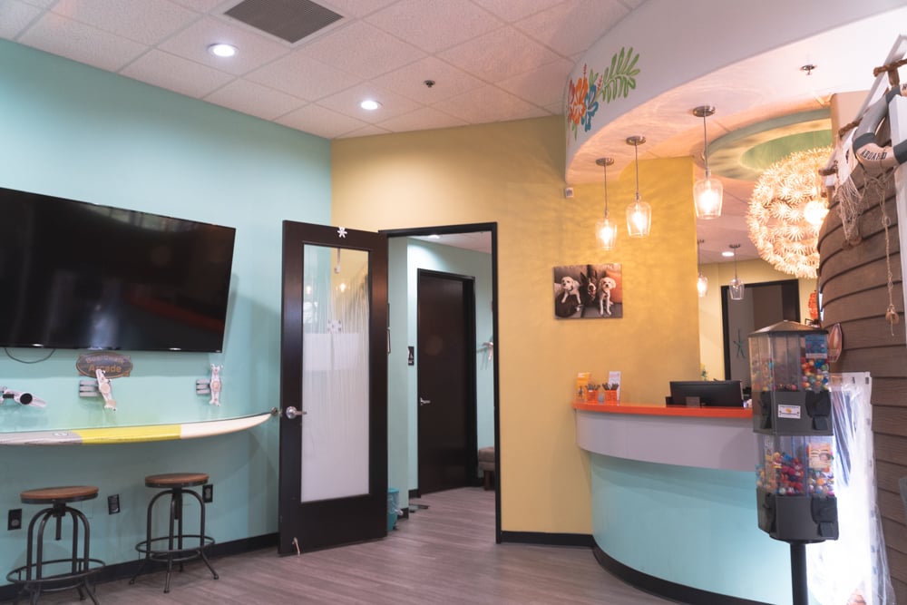 Islands Pediatric Dentistry photo 2