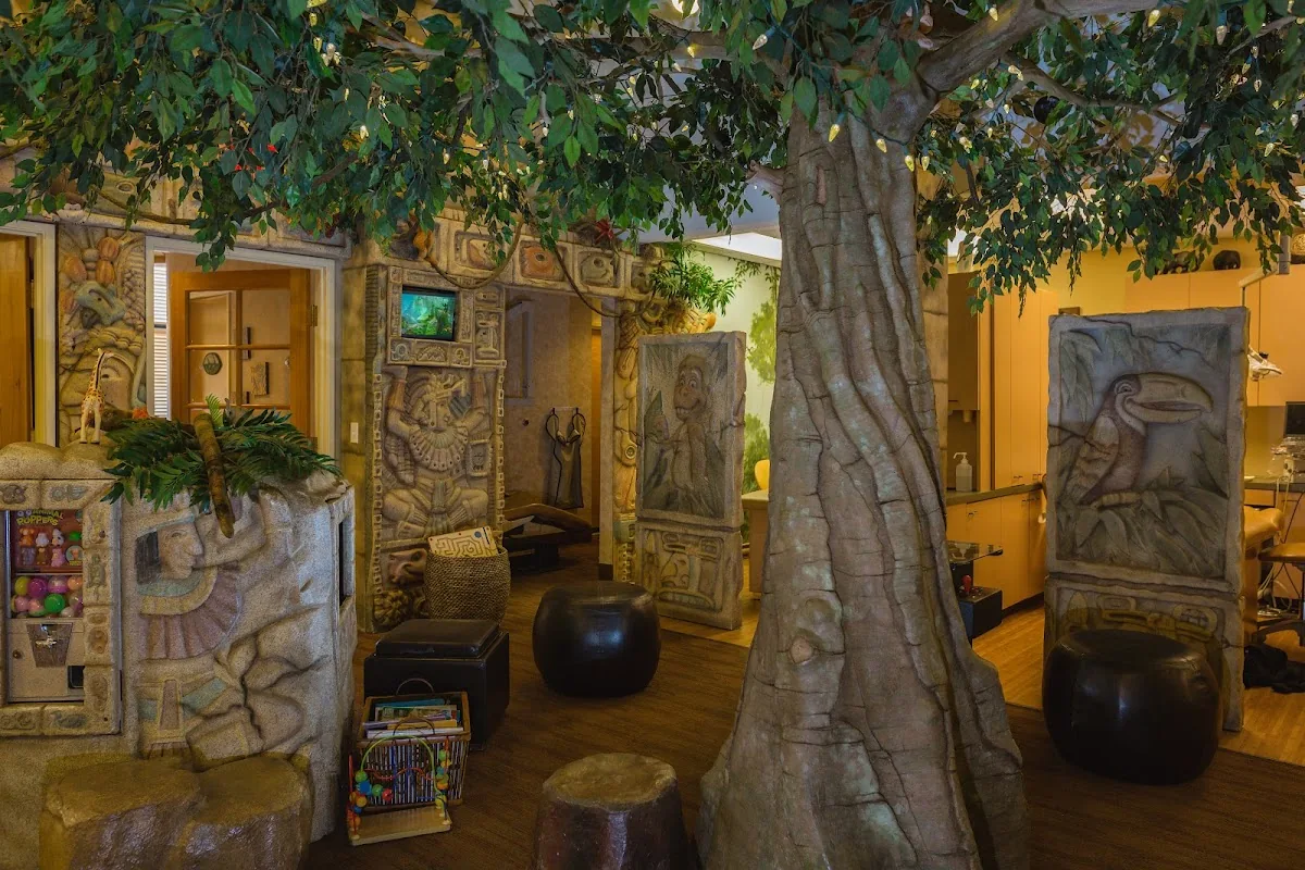 Jungle Roots Children's Dentistry & Orthodontics photo 4