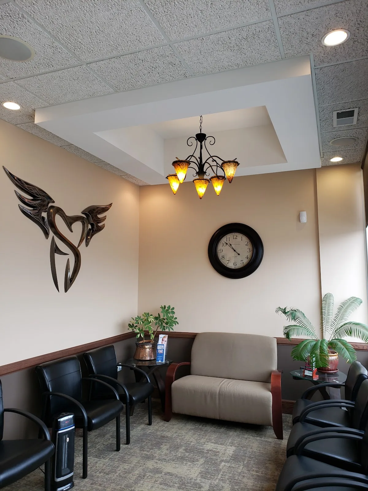 Buffalo Dental Advanced Cosmetics photo 4