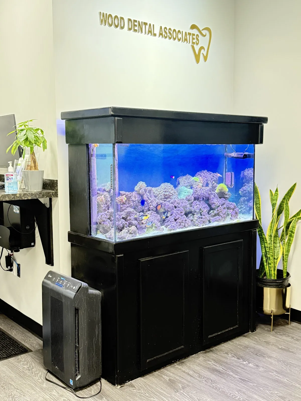 Wood Dental Associates photo 5