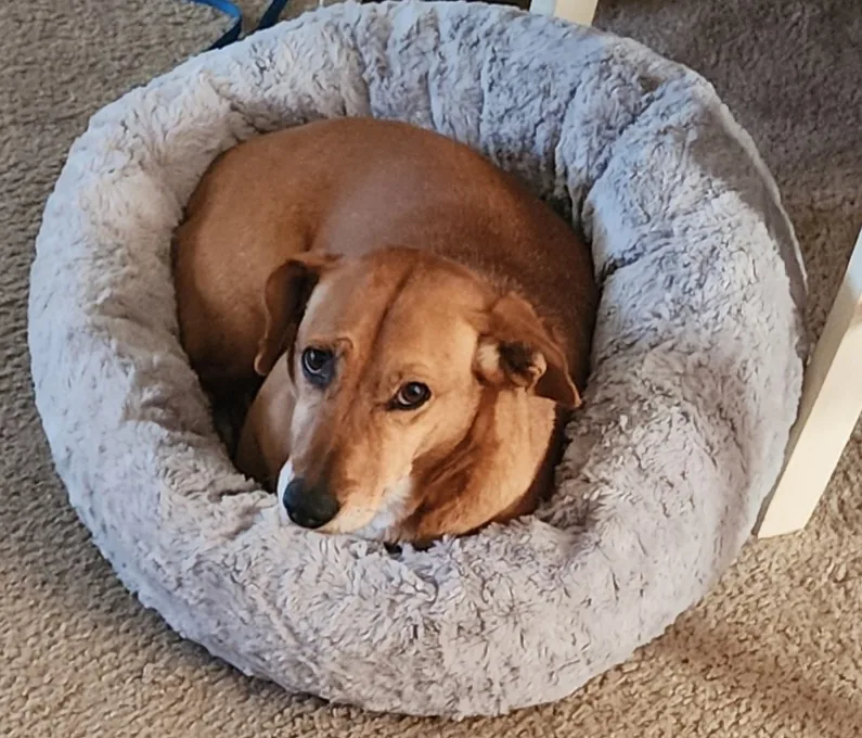 Buffalo Dental Group photo 6