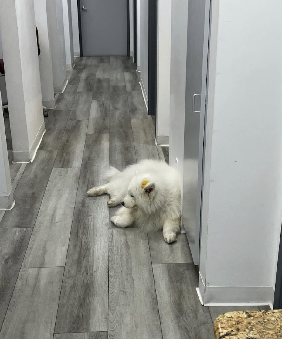 Smile L.A. Downtown Modern Dentistry photo 4