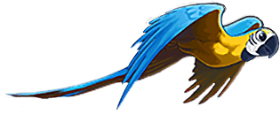 All Kids Dental Bridgeport photo 1