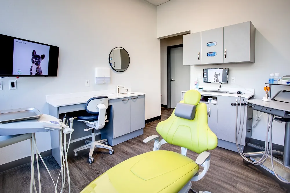 Dental House photo 3