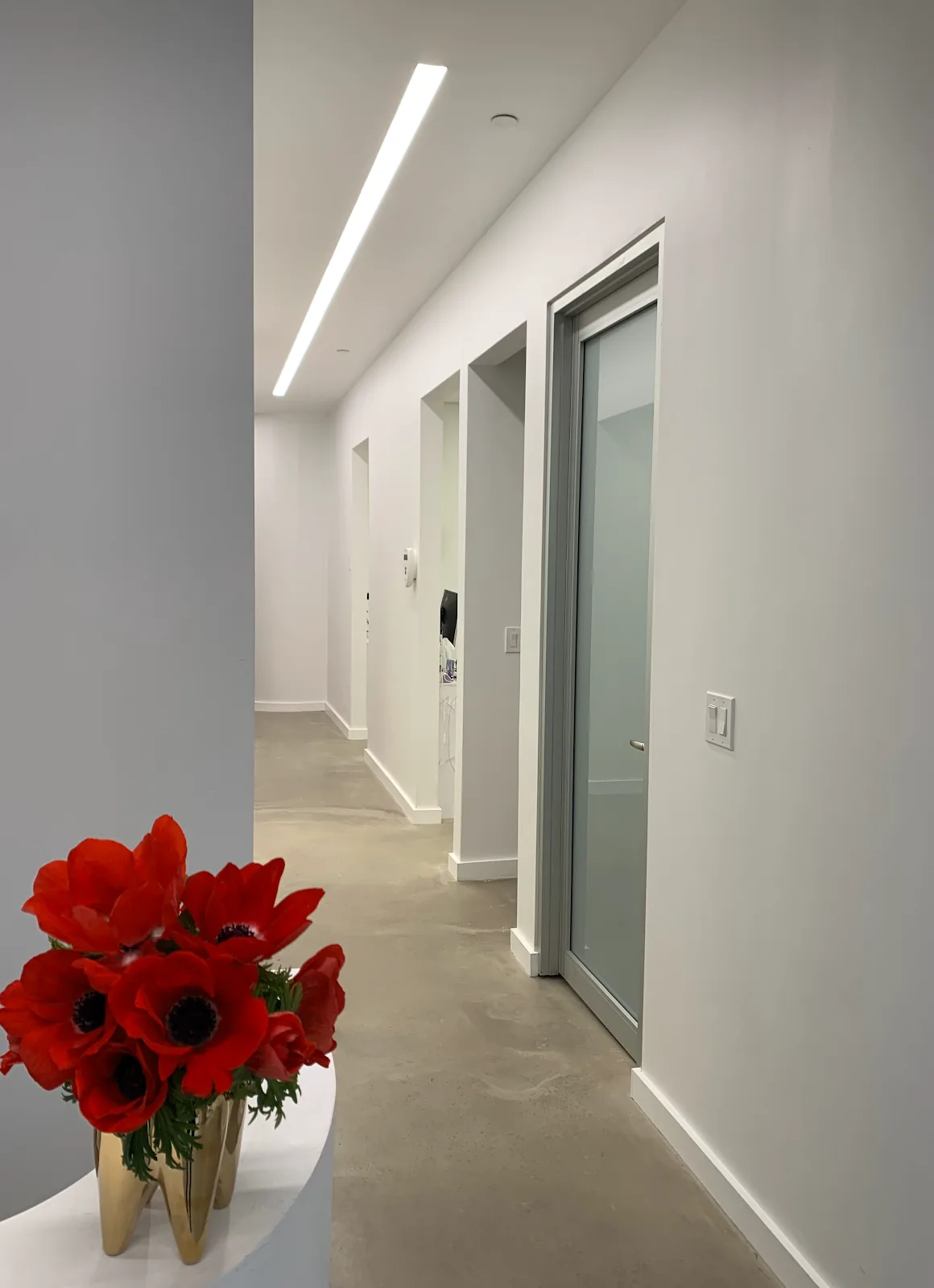 TriBeCa Dental Associates | Greene photo 5